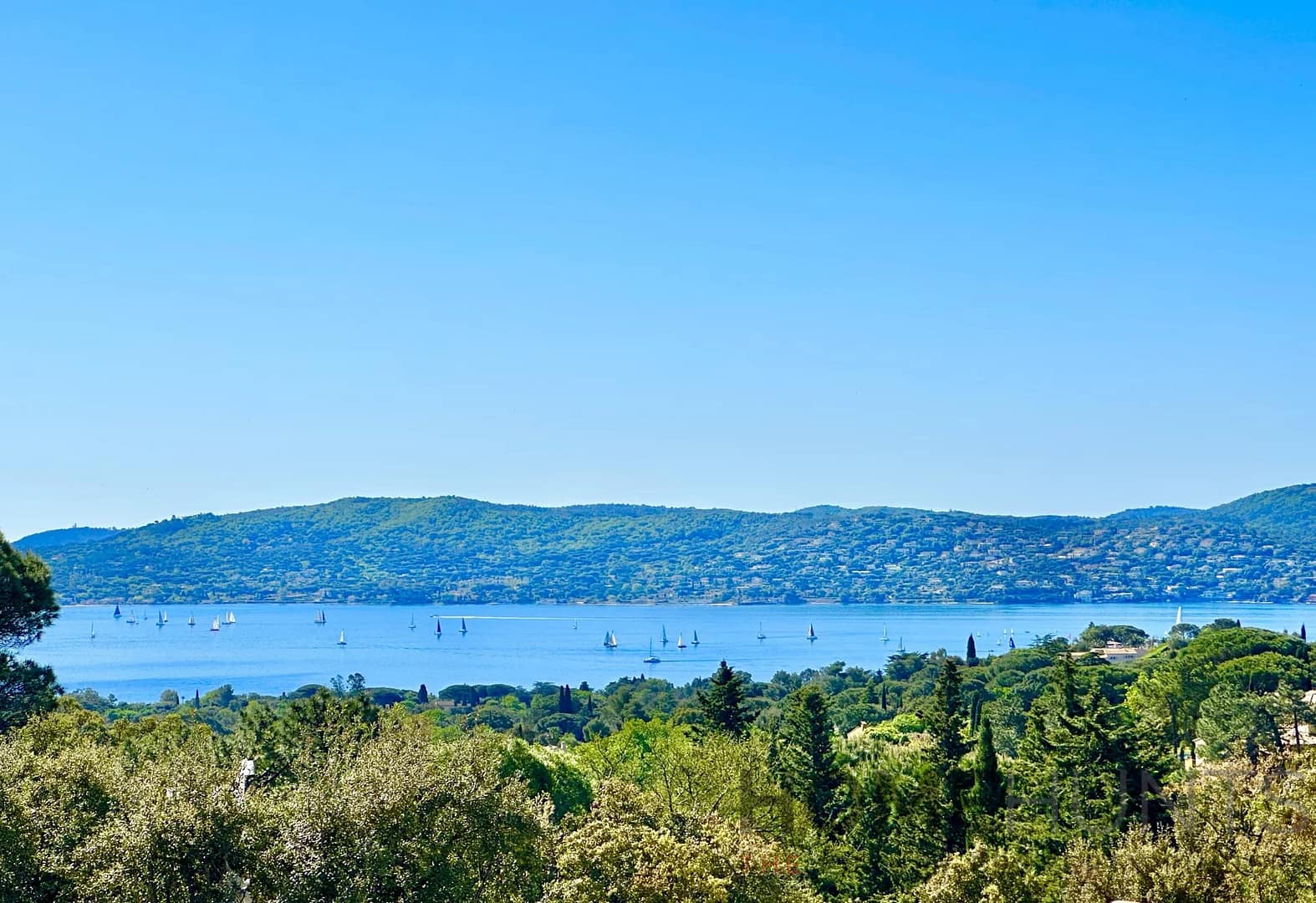 property_HH-15841459-2