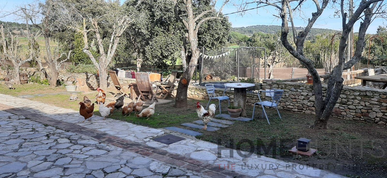 property_HH-15267433-9