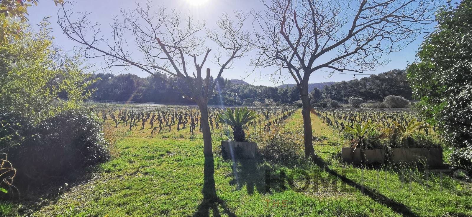 property_HH-15745398