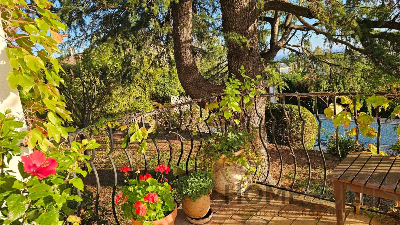 property_HH-15969477-8