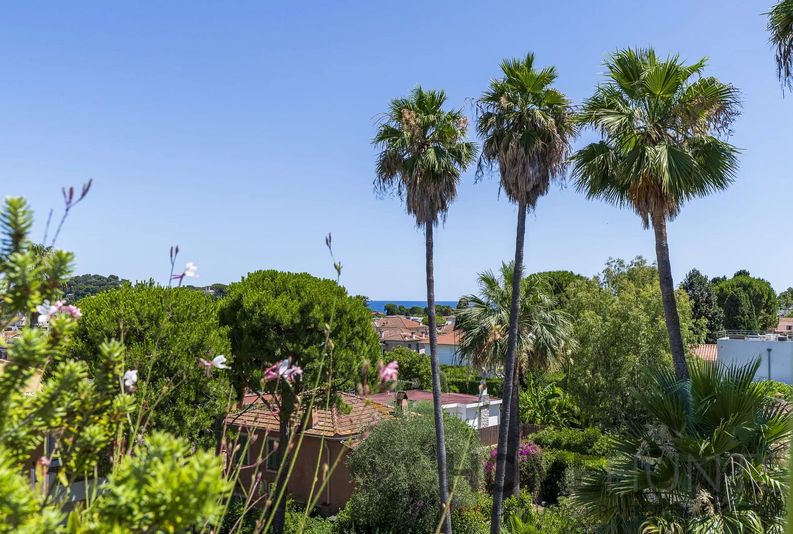 property_HH-16021745-11