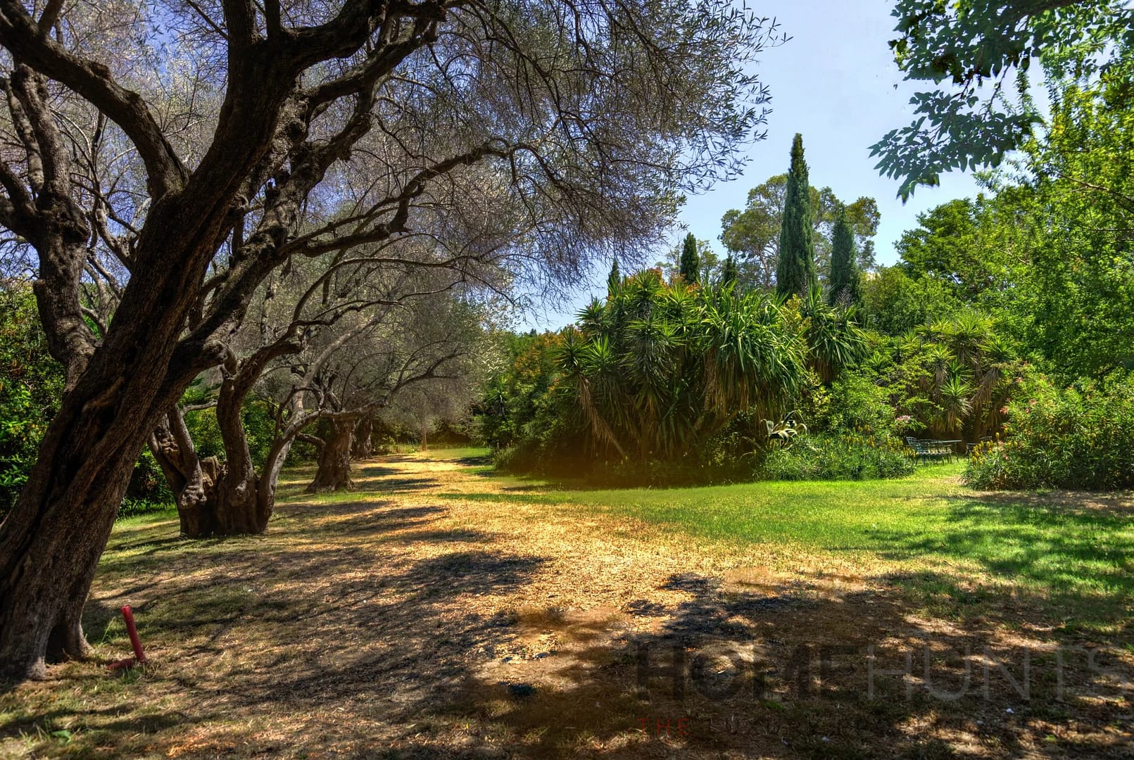 property_HH-15656068-18