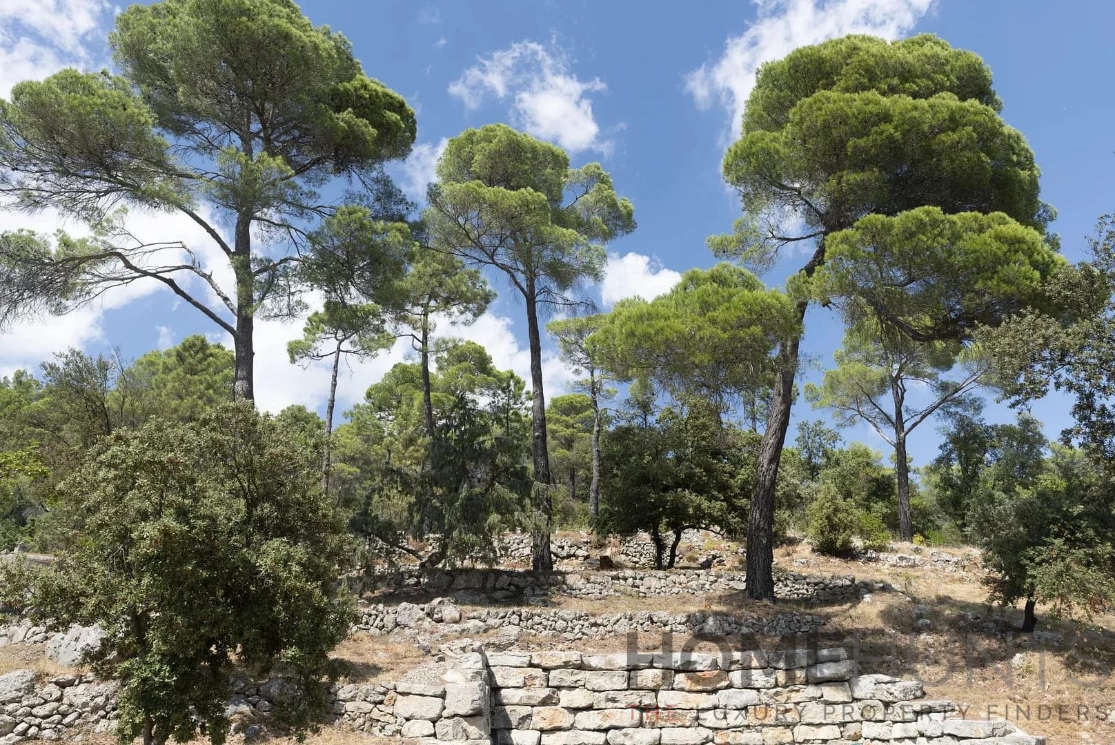 property_HH-15950969-20