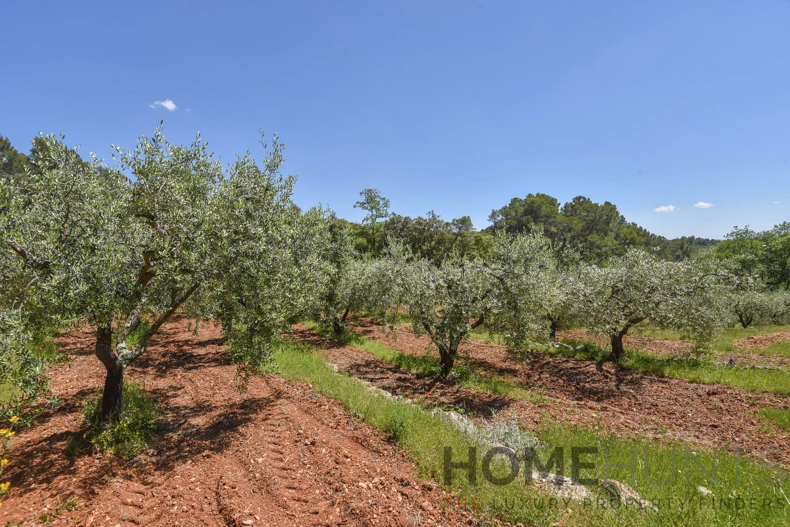 property_HH-15407524-20