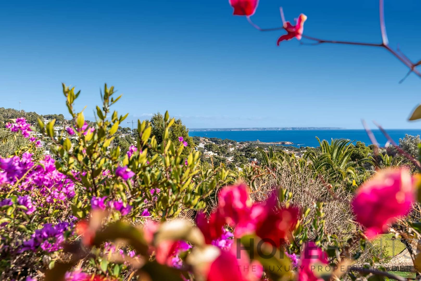 property_HH-15731525-26