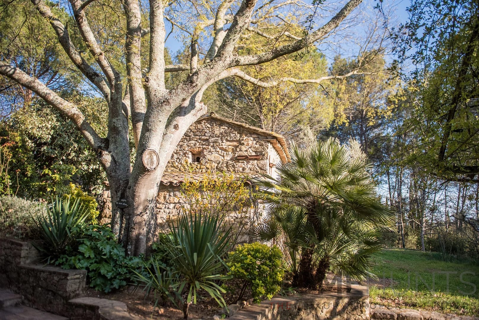 property_HH-15771170-4