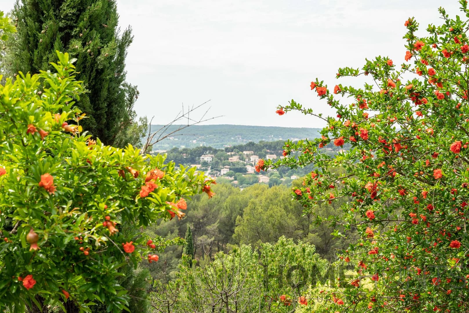 property_HH-15028669-8