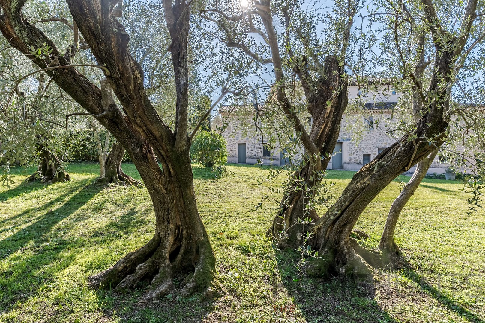 property_HH-15345596-8