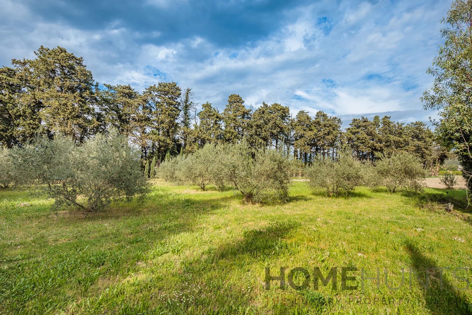 property_HH-14890973-9