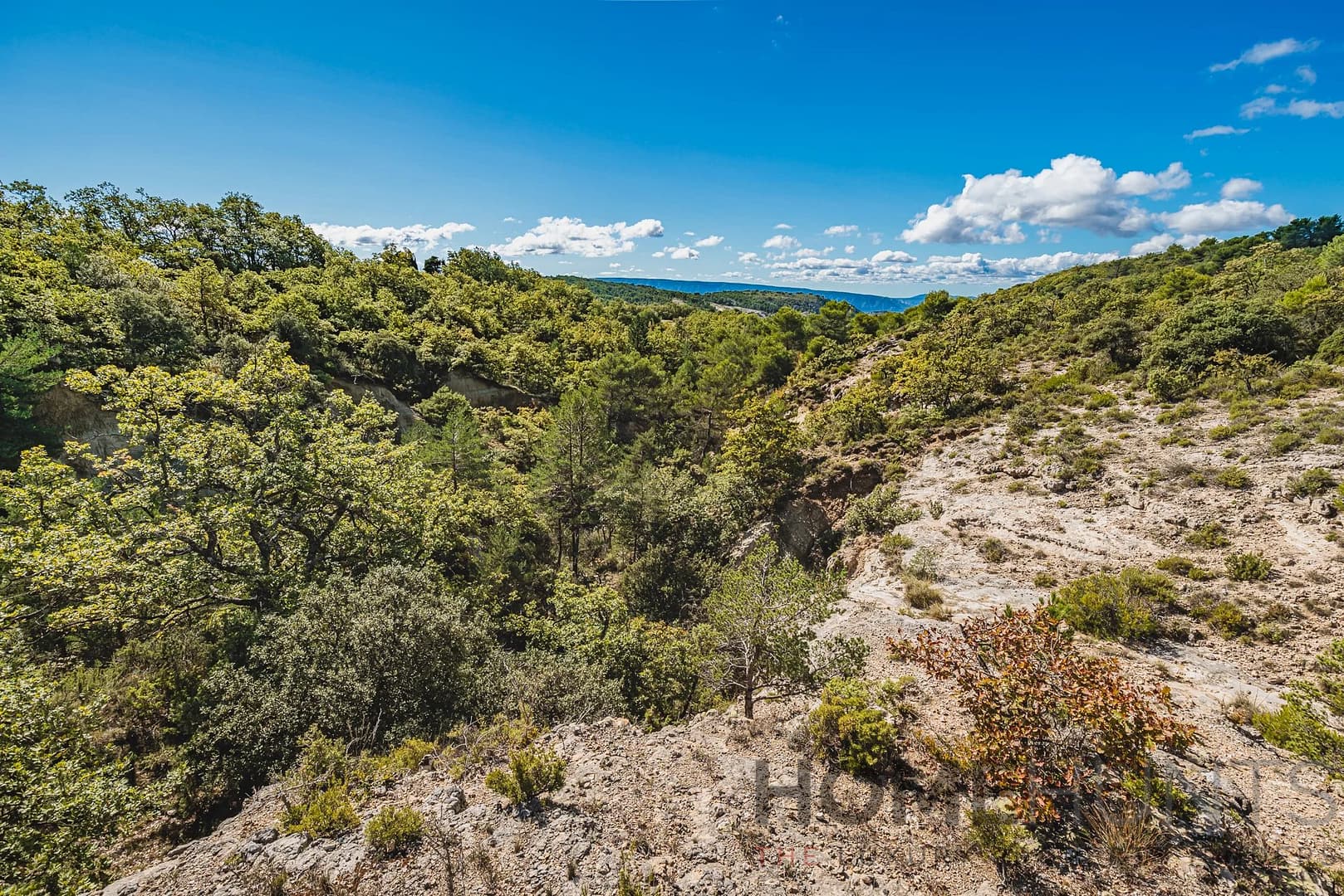 property_HH-15542326-29