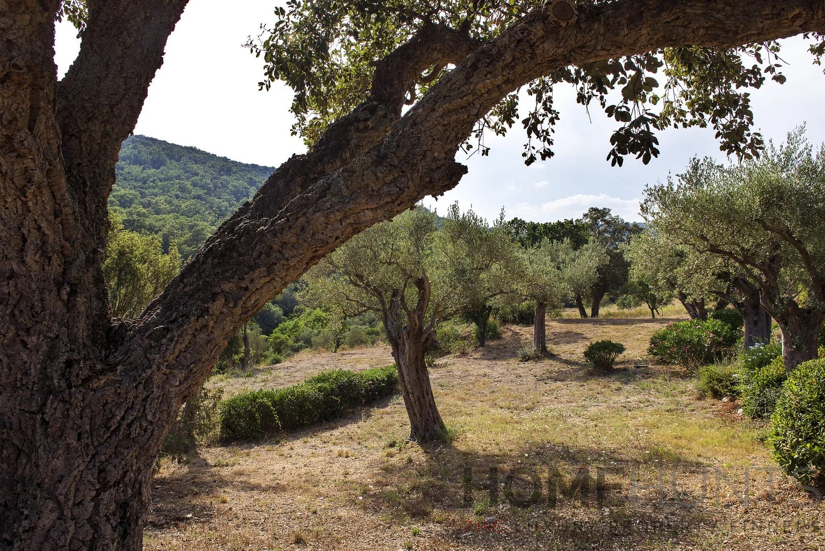 property_HH-15664892-6