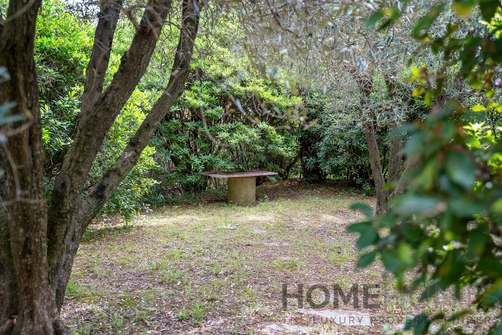 property_HH-15428959-10