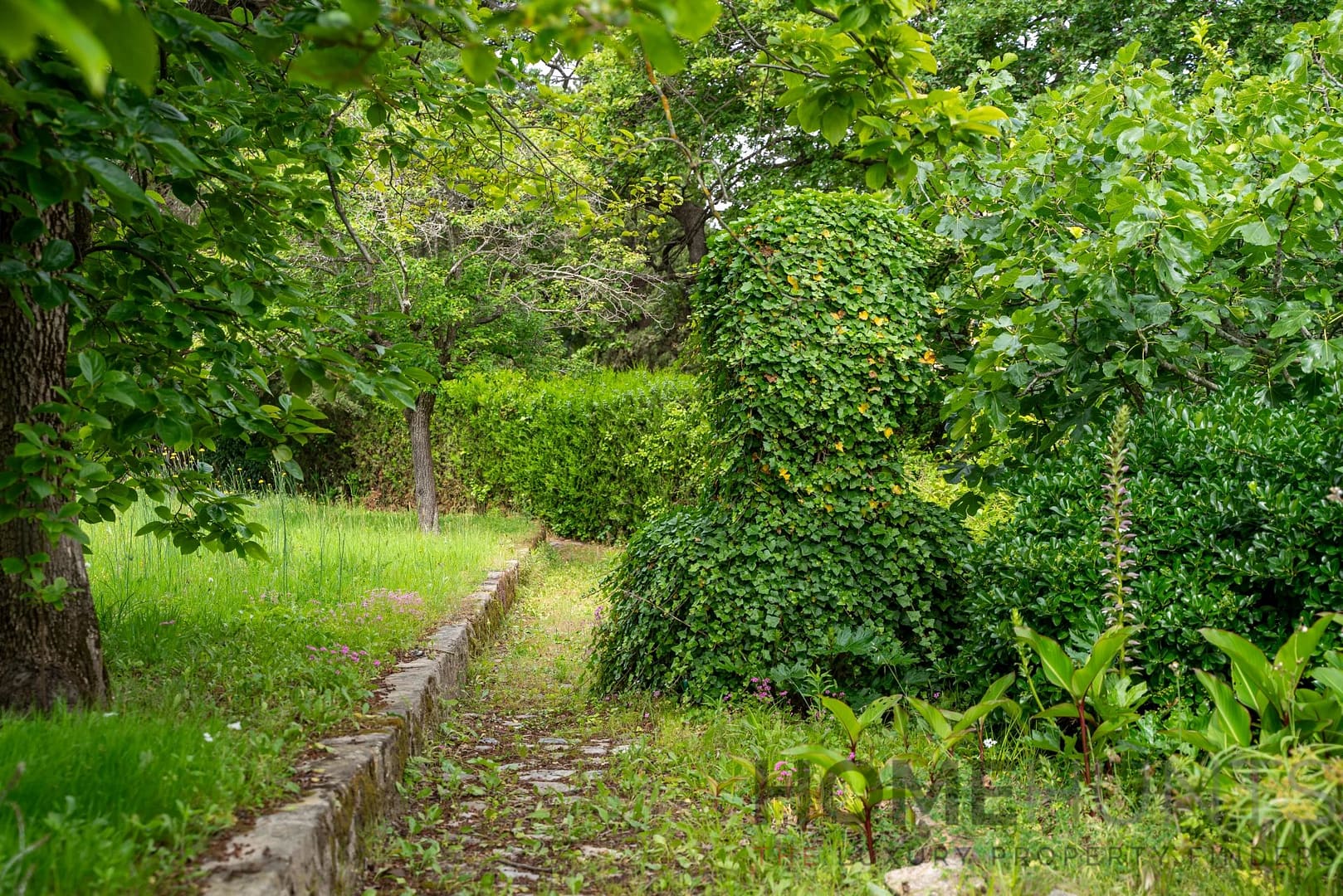 property_HH-15428959-8