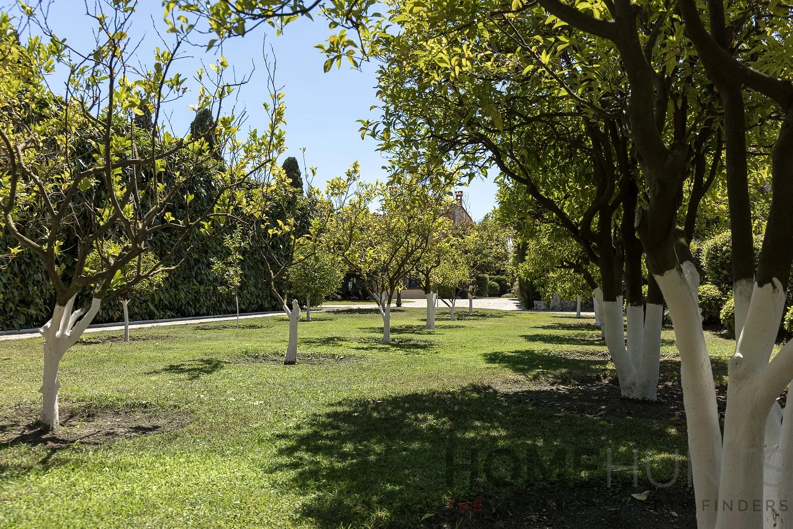 property_HH-15456407-12