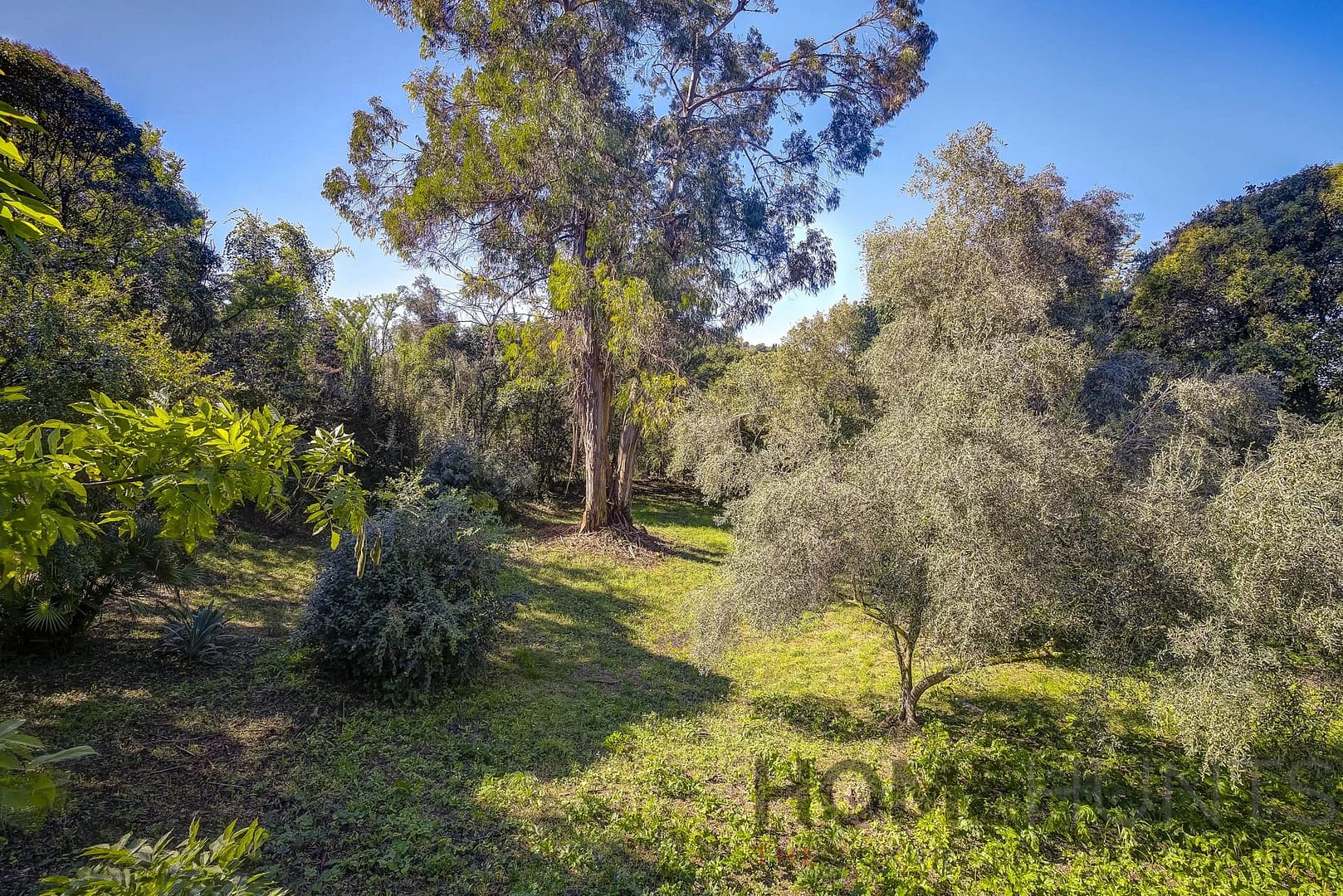 property_HH-15919830-7