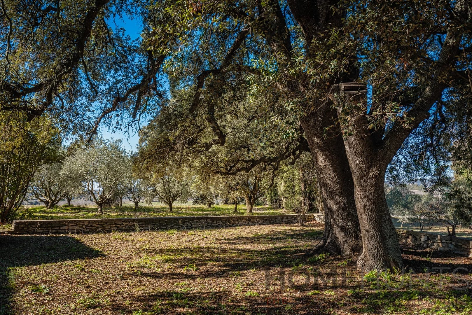 property_HH-14874096-1