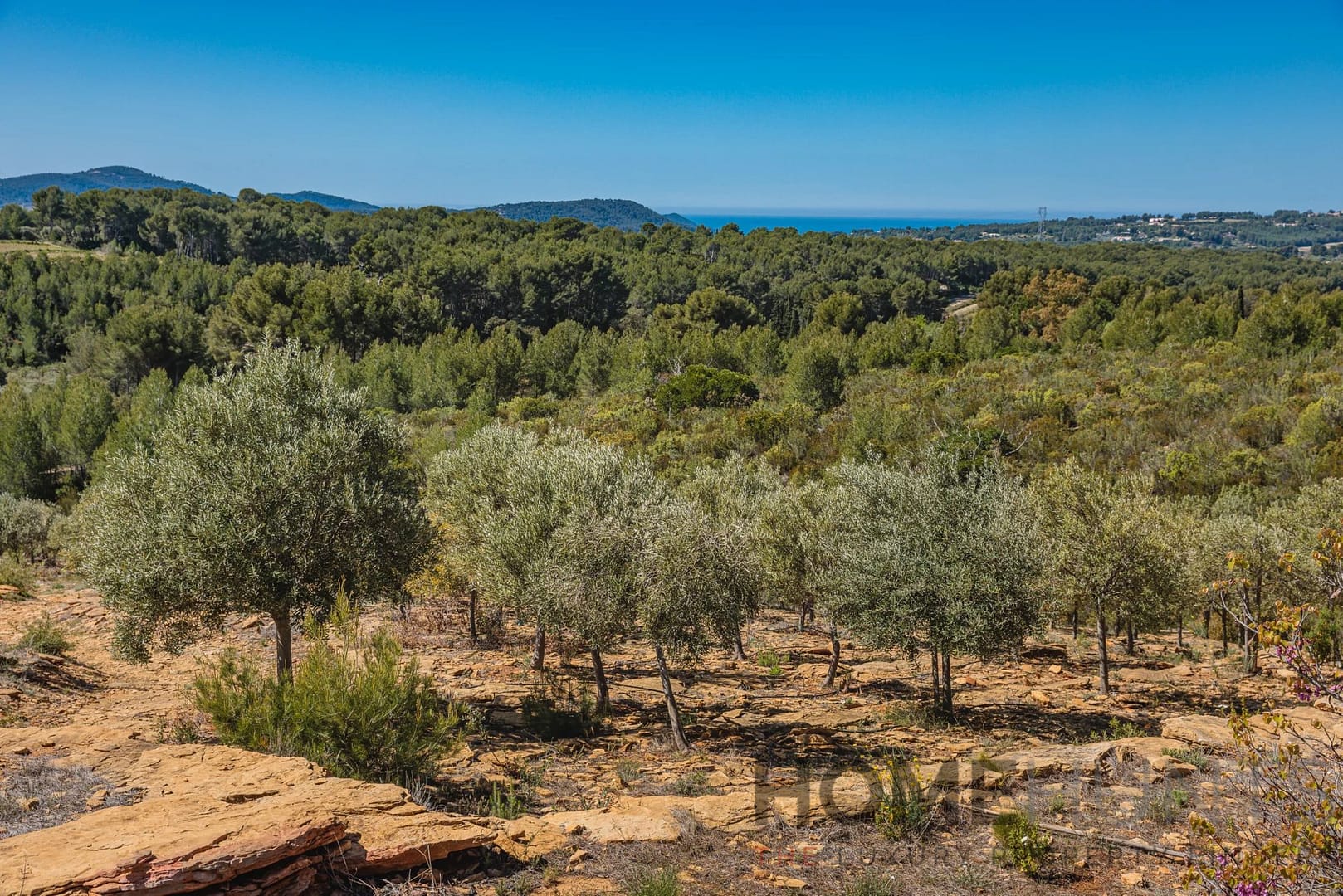 property_HH-16125148-18