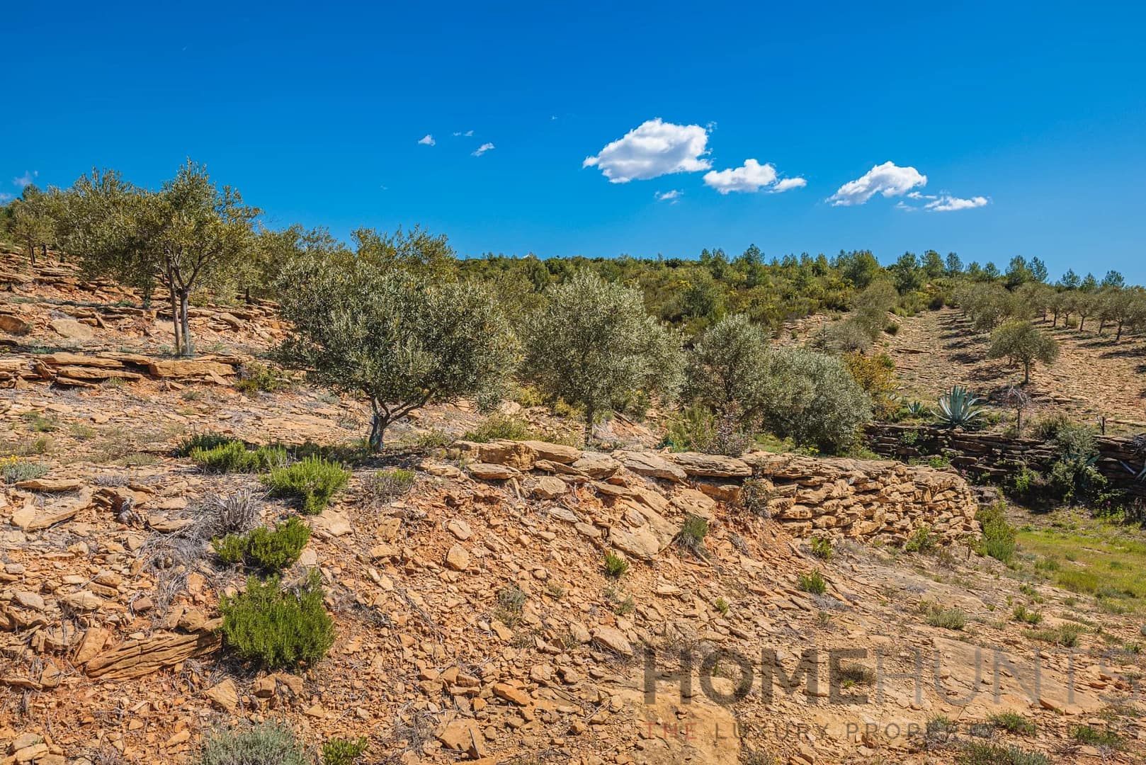 property_HH-16125148-19