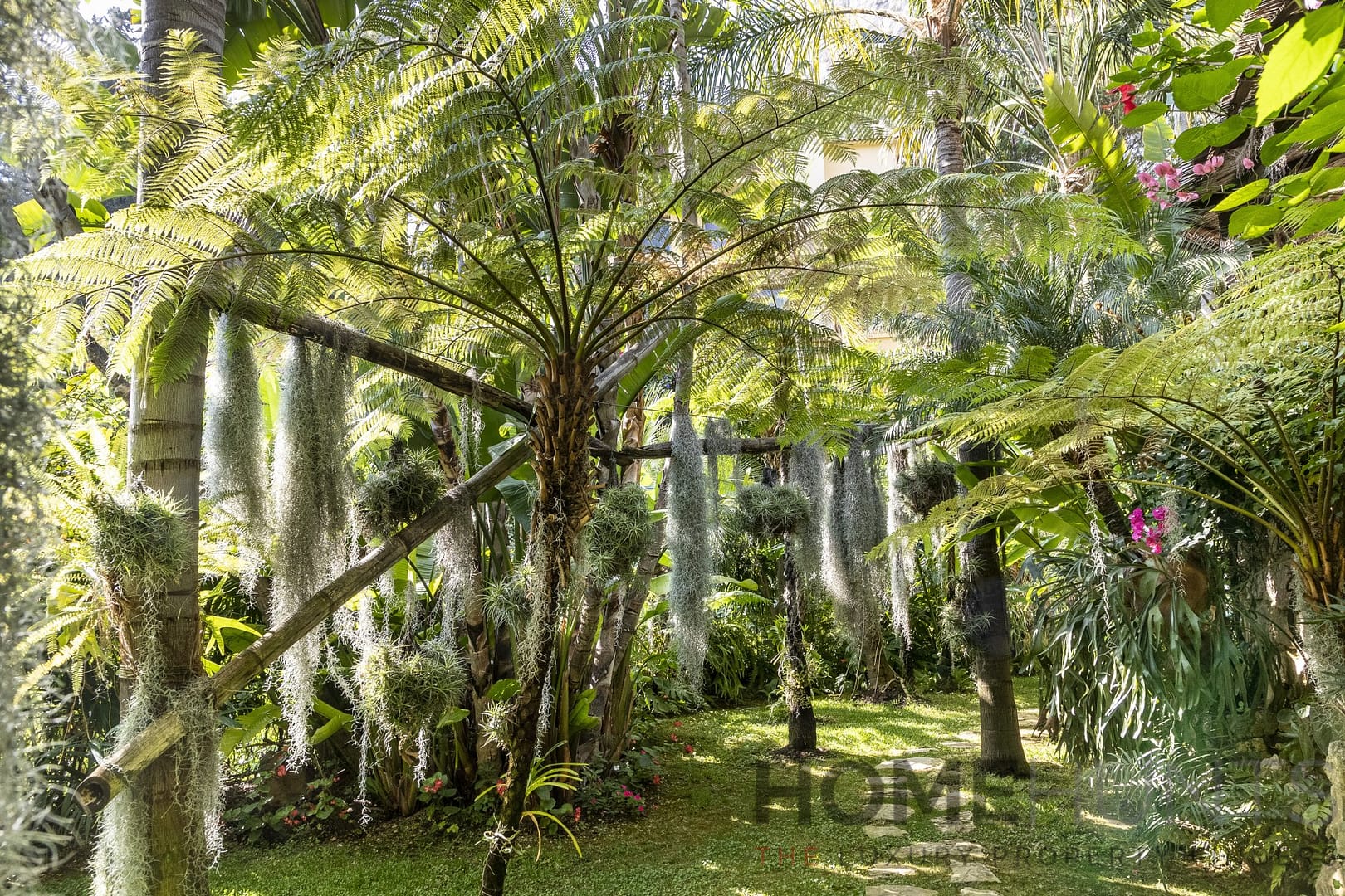 property_HH-14223831-9