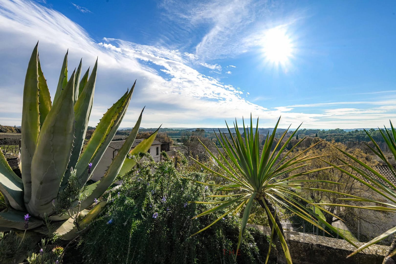 property_HH-15638541-21