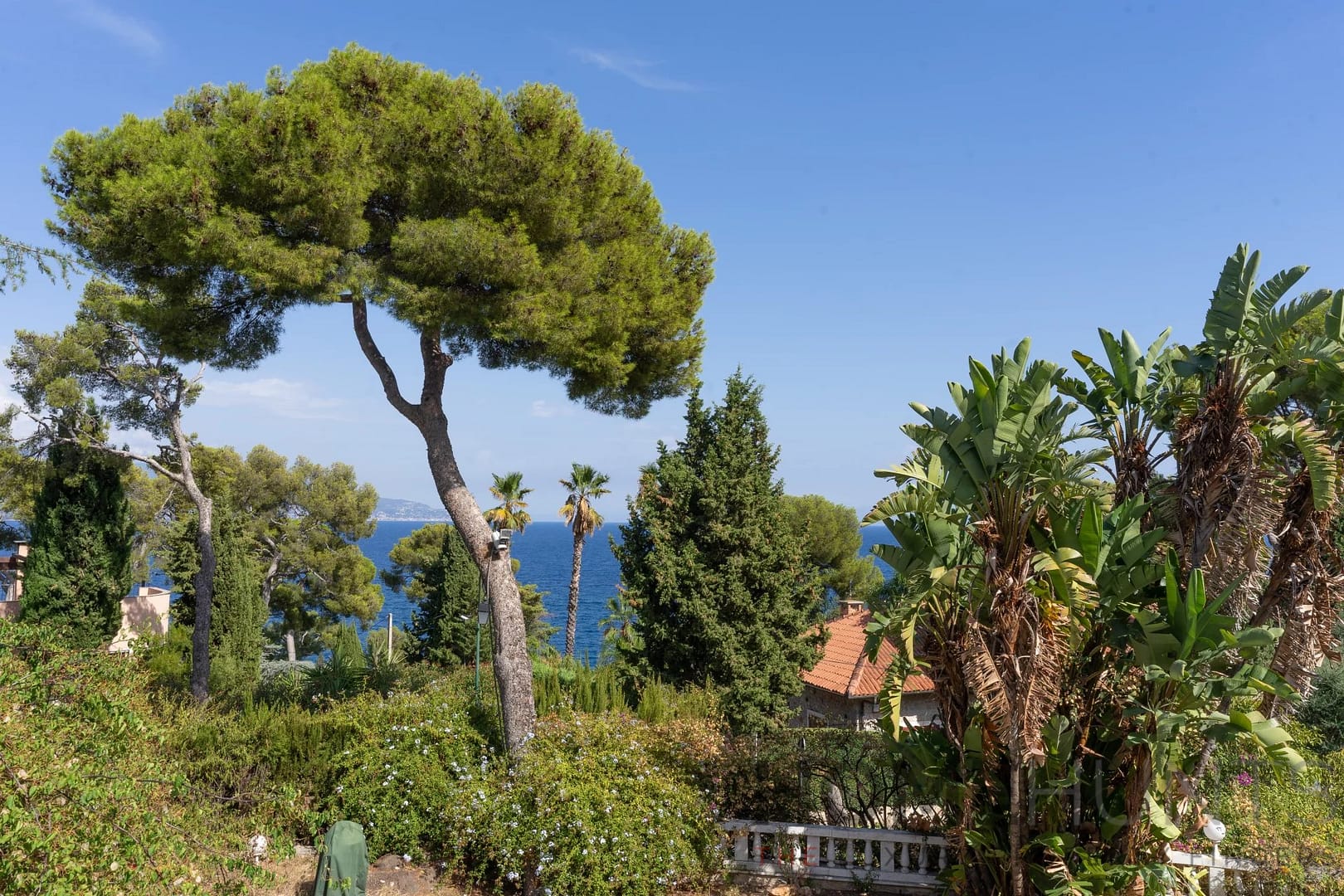 property_HH-15656077