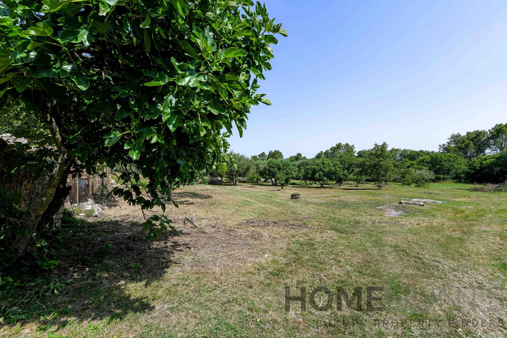 property_HH-15670775-12