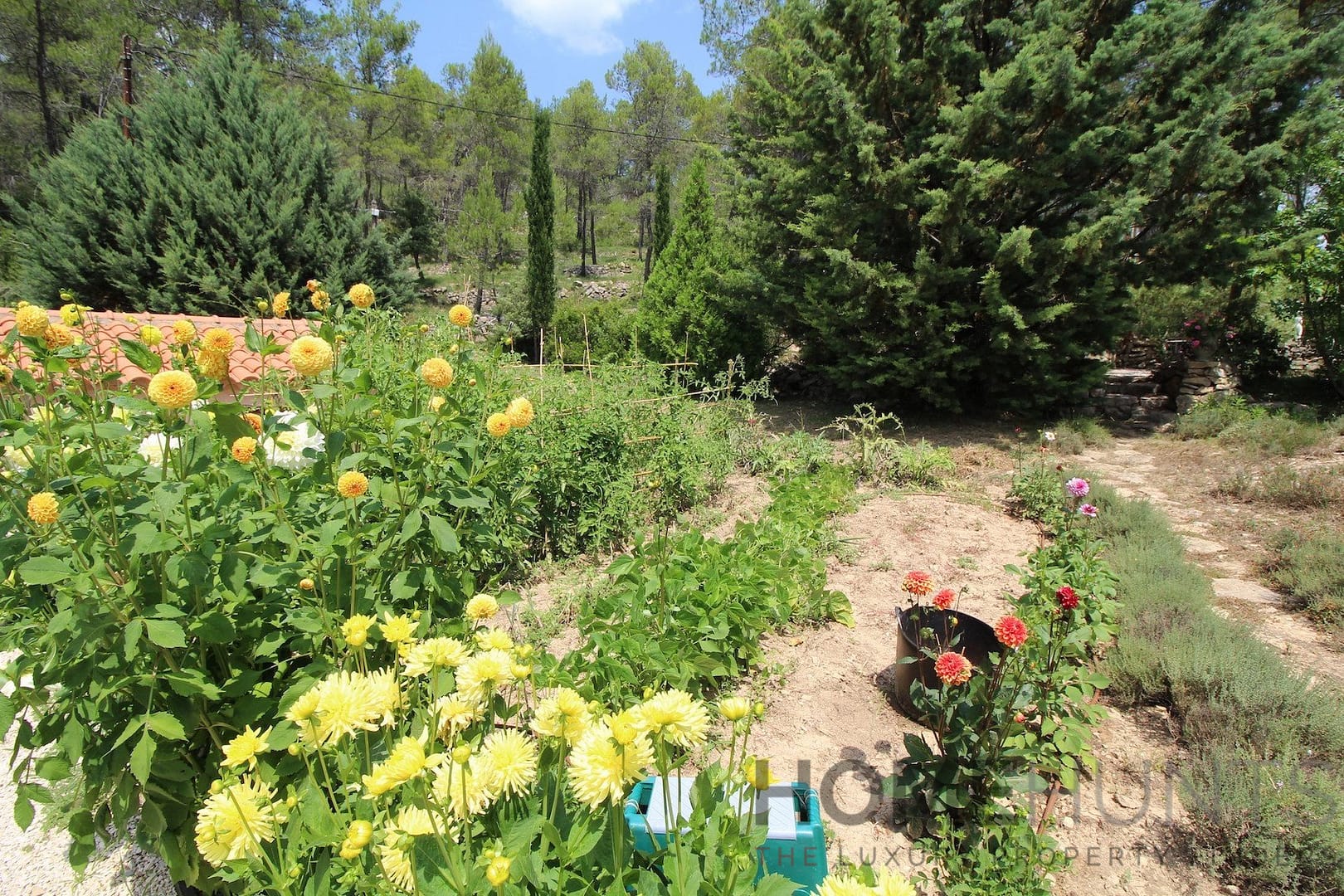 property_HH-15678290-14