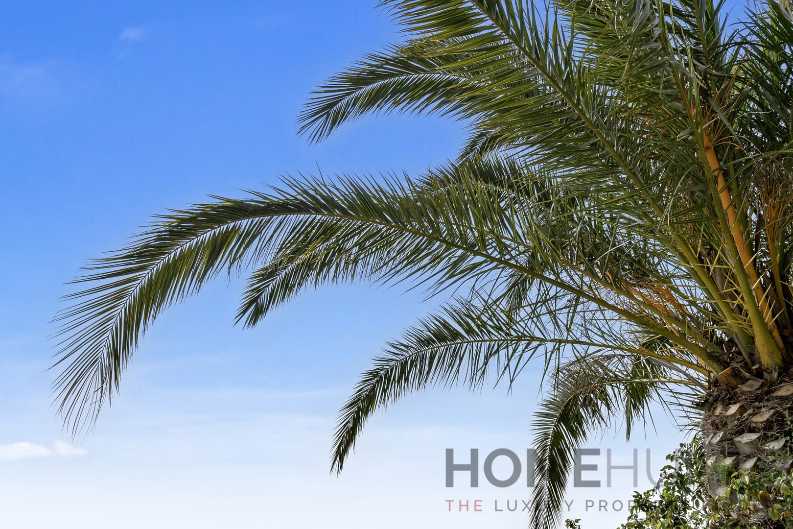 property_HH-15586737-13