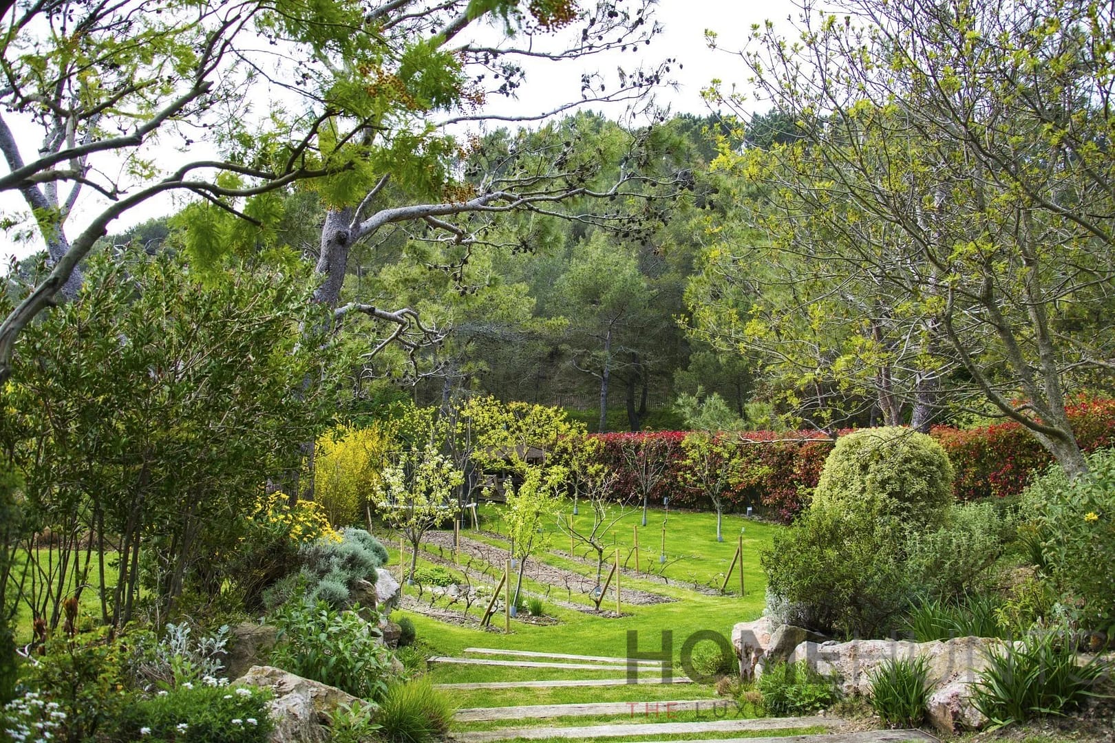 property_HH-15743077-8