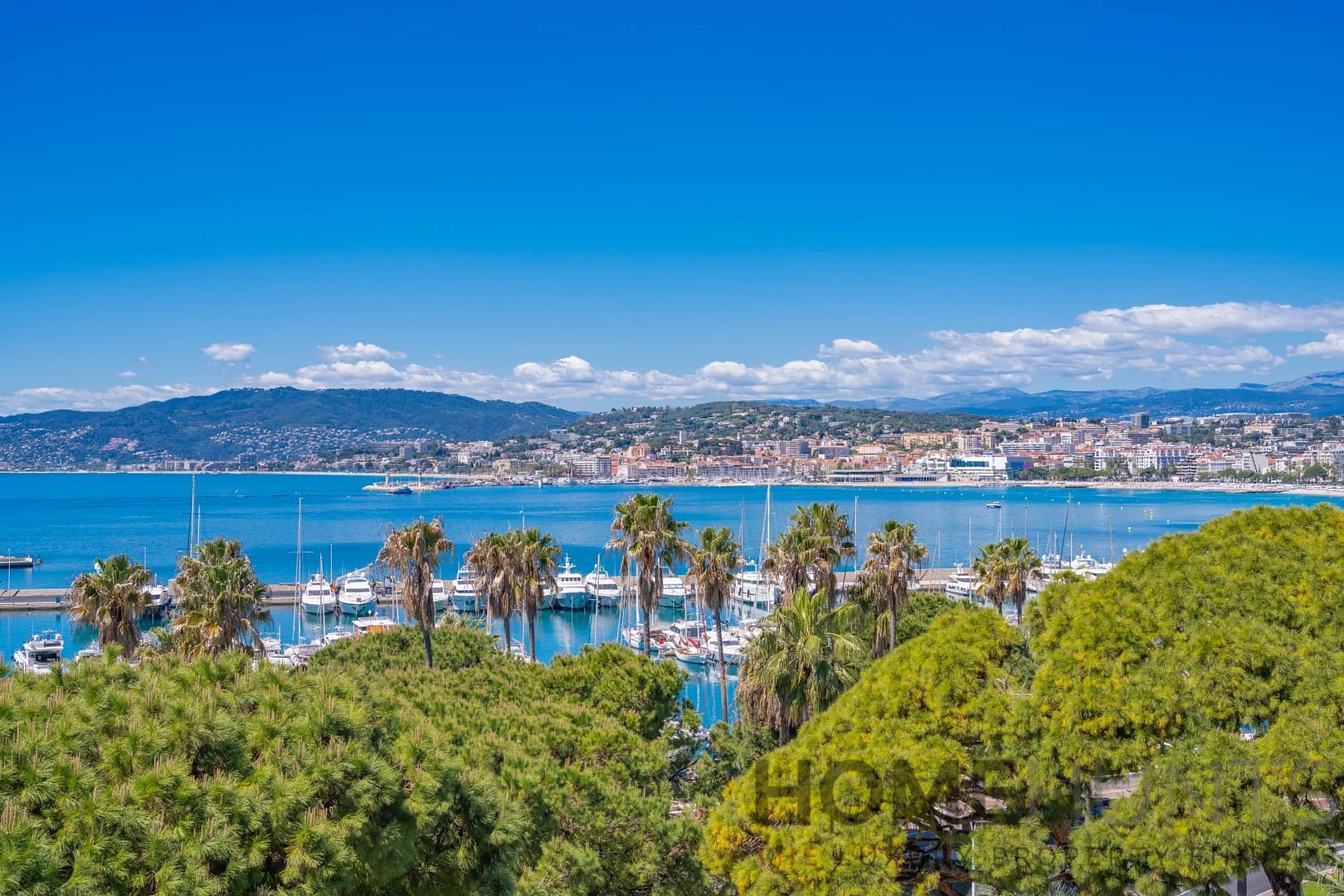 property_HH-15774323-10