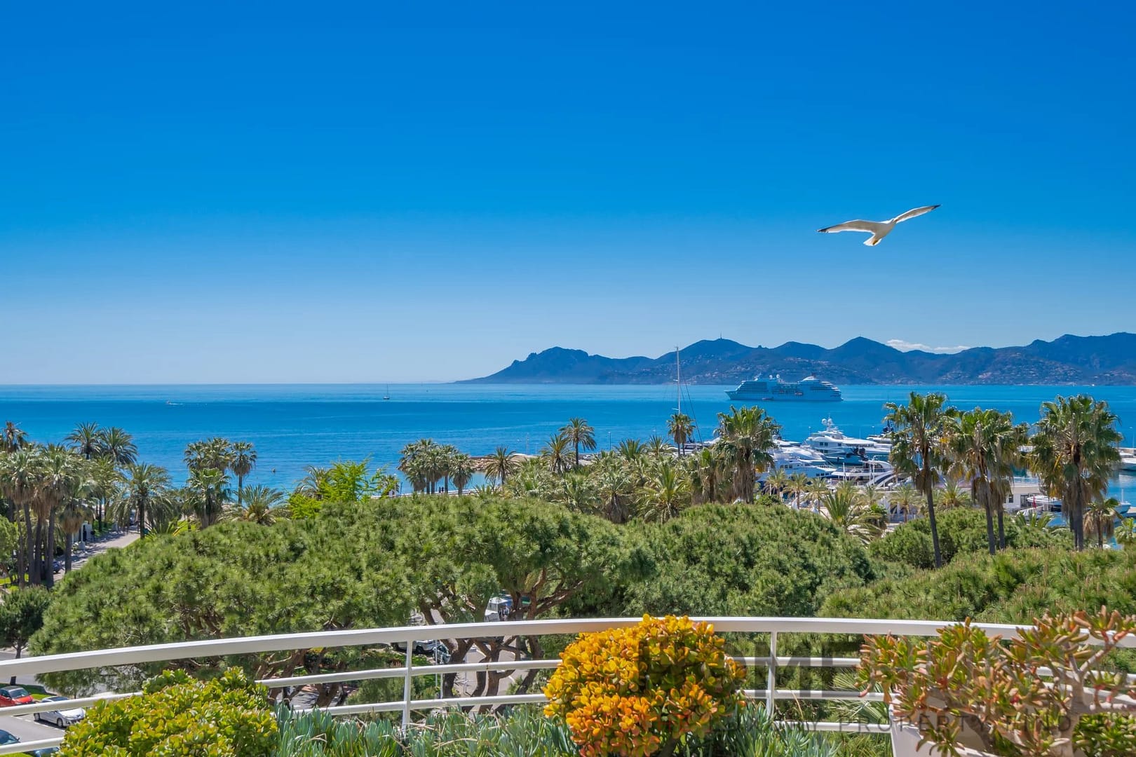 property_HH-15774323-28