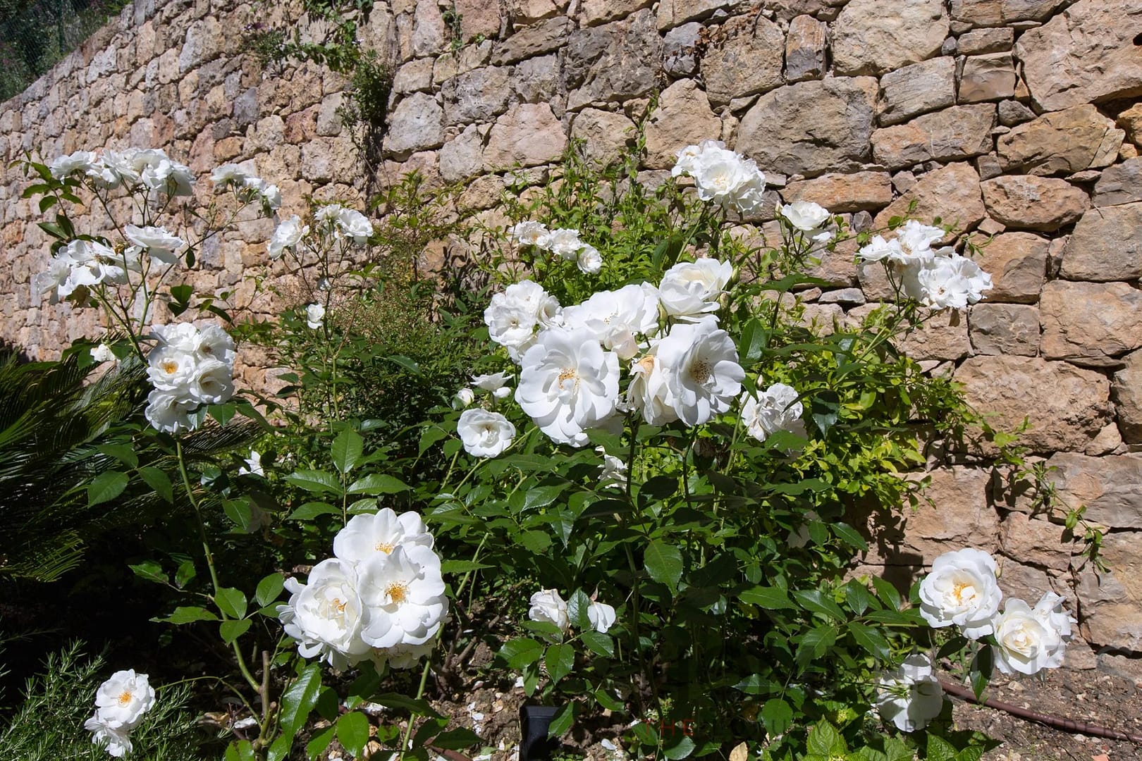 property_HH-15810673-16