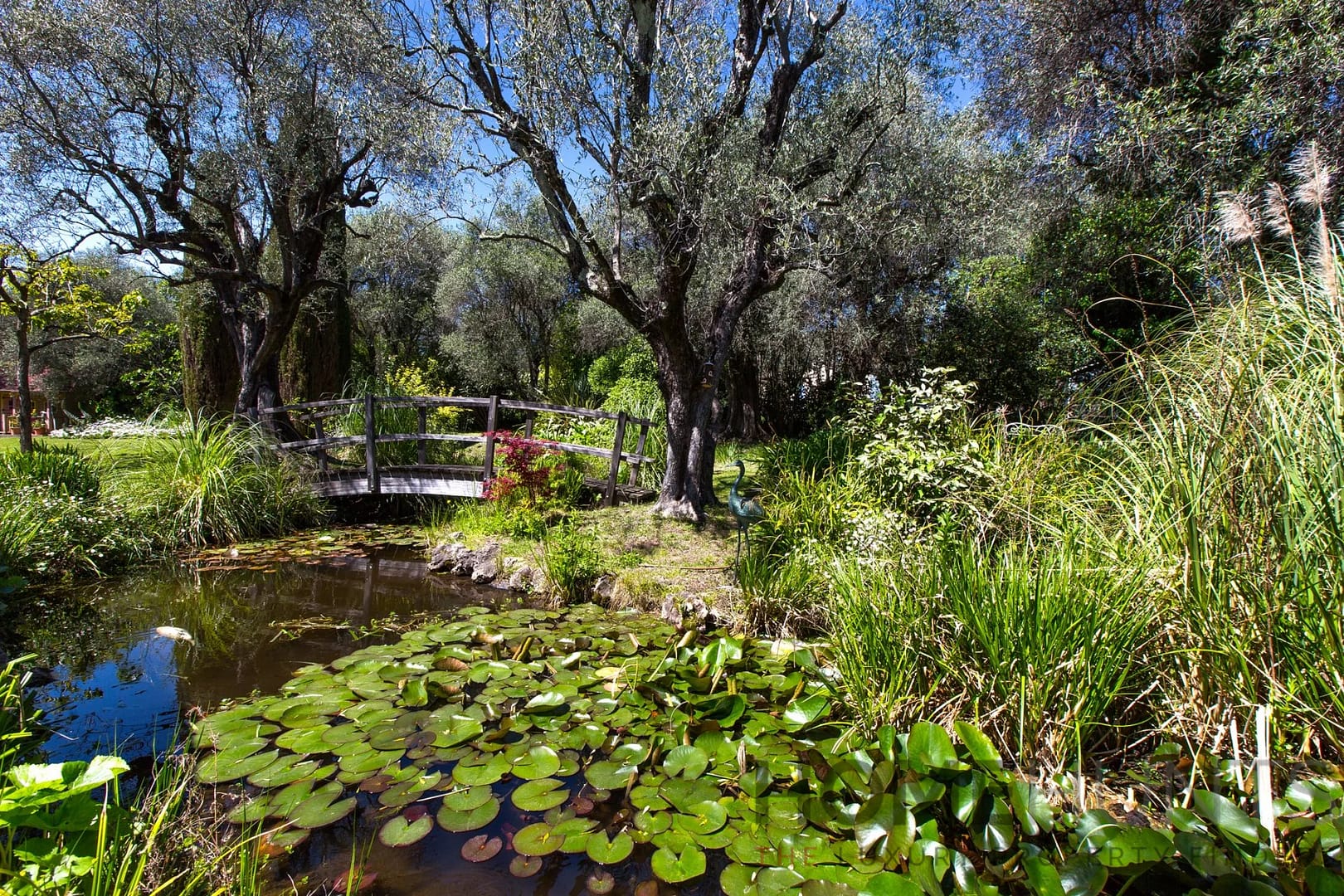 property_HH-15820231-3