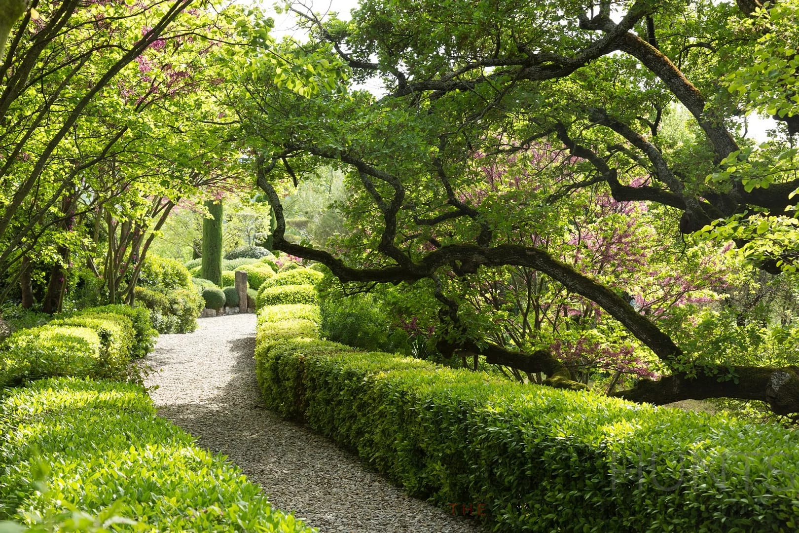 property_HH-15033754-28