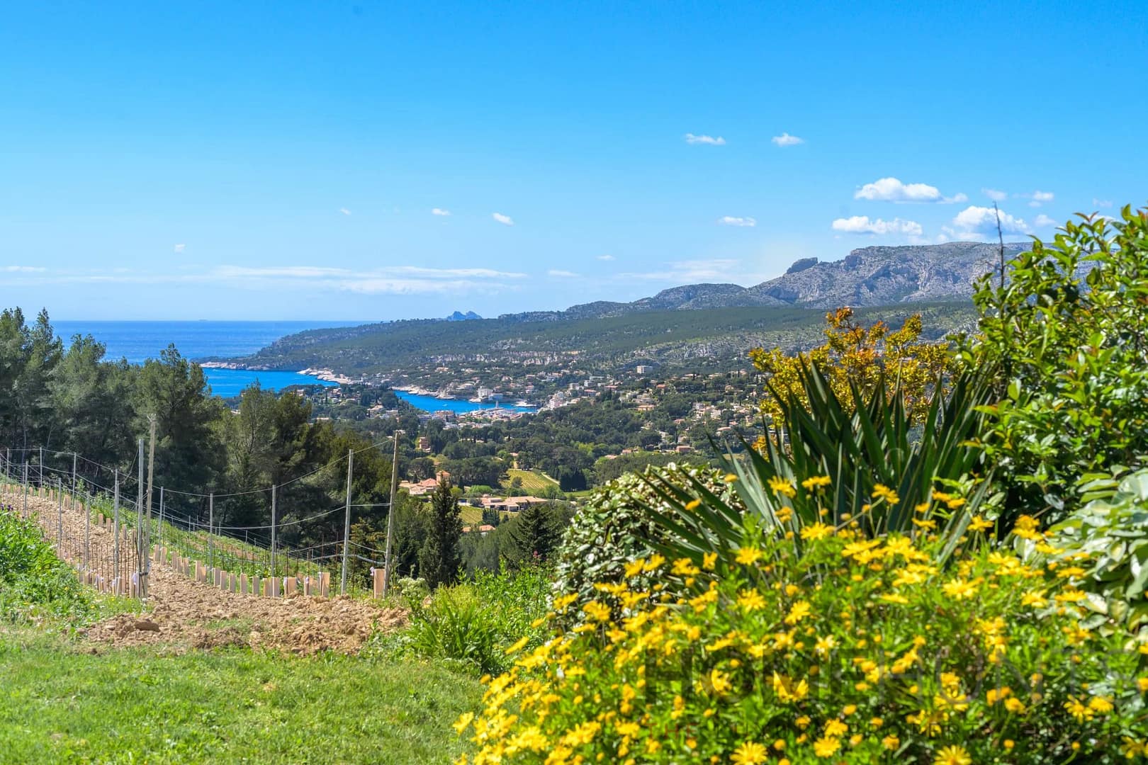 property_HH-15444905-17