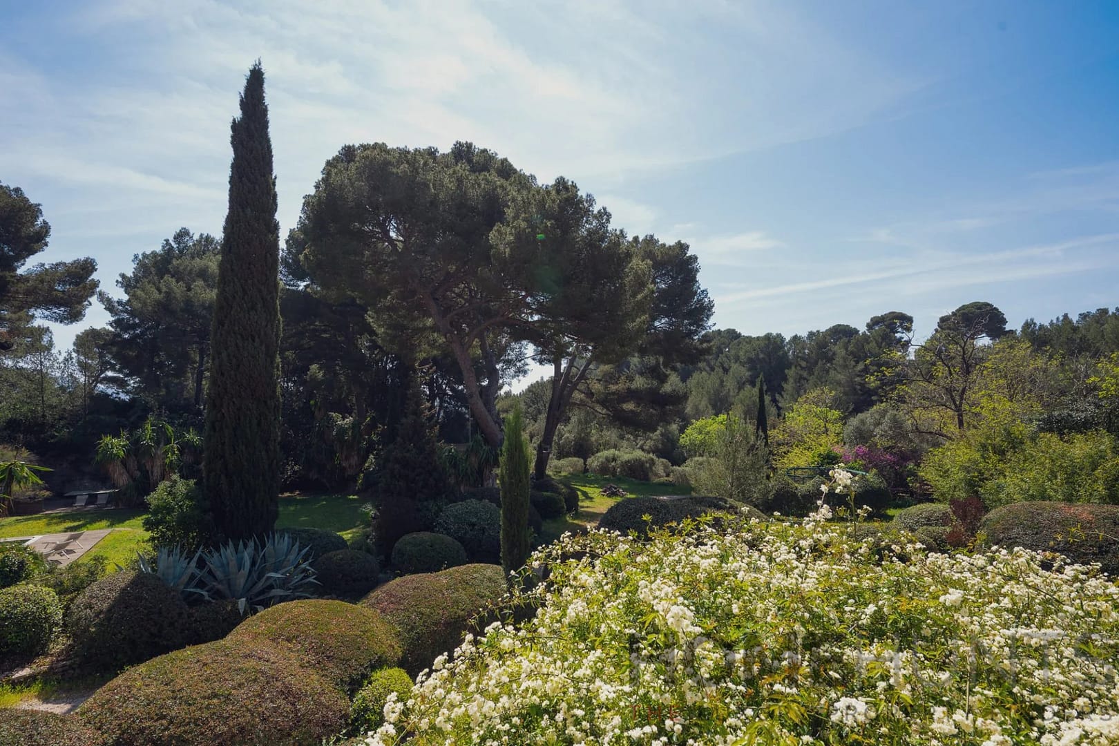 property_HH-15841434-7