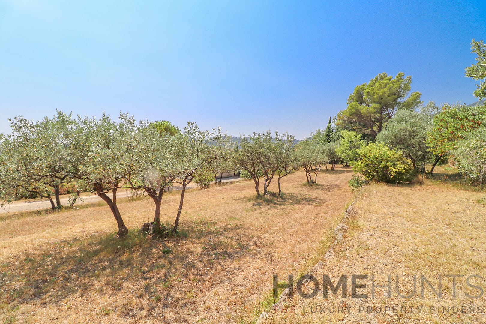 property_HH-15896445-18