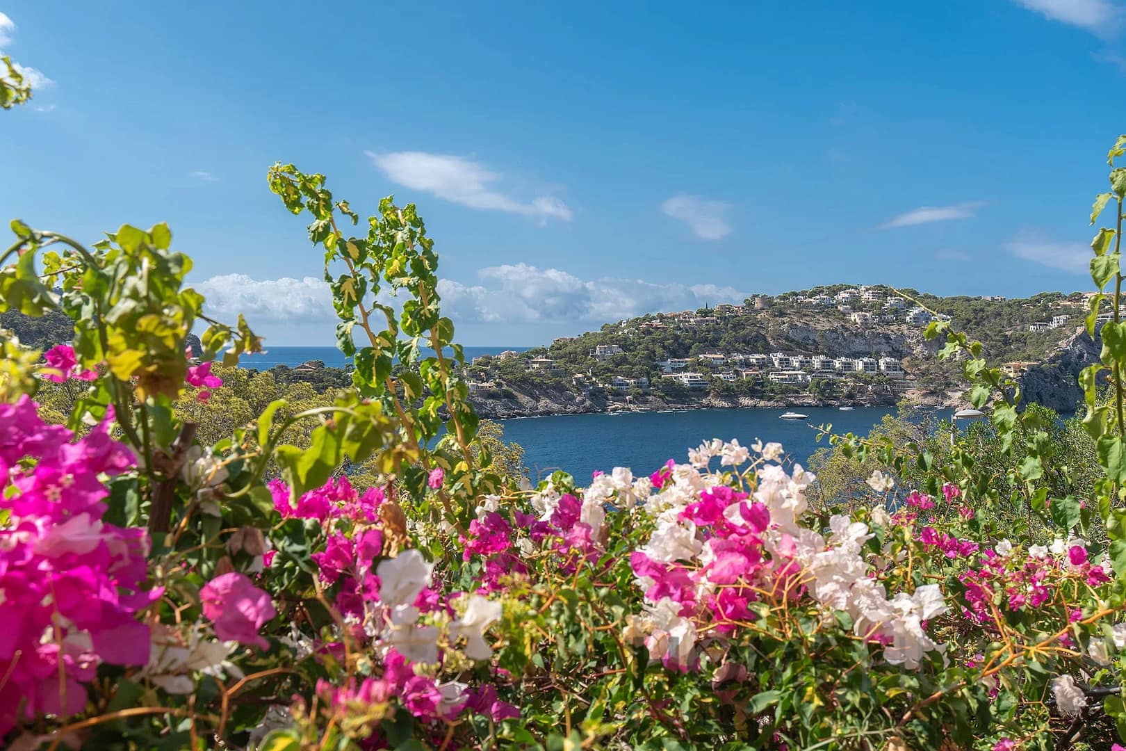 property_HH-15901289-27