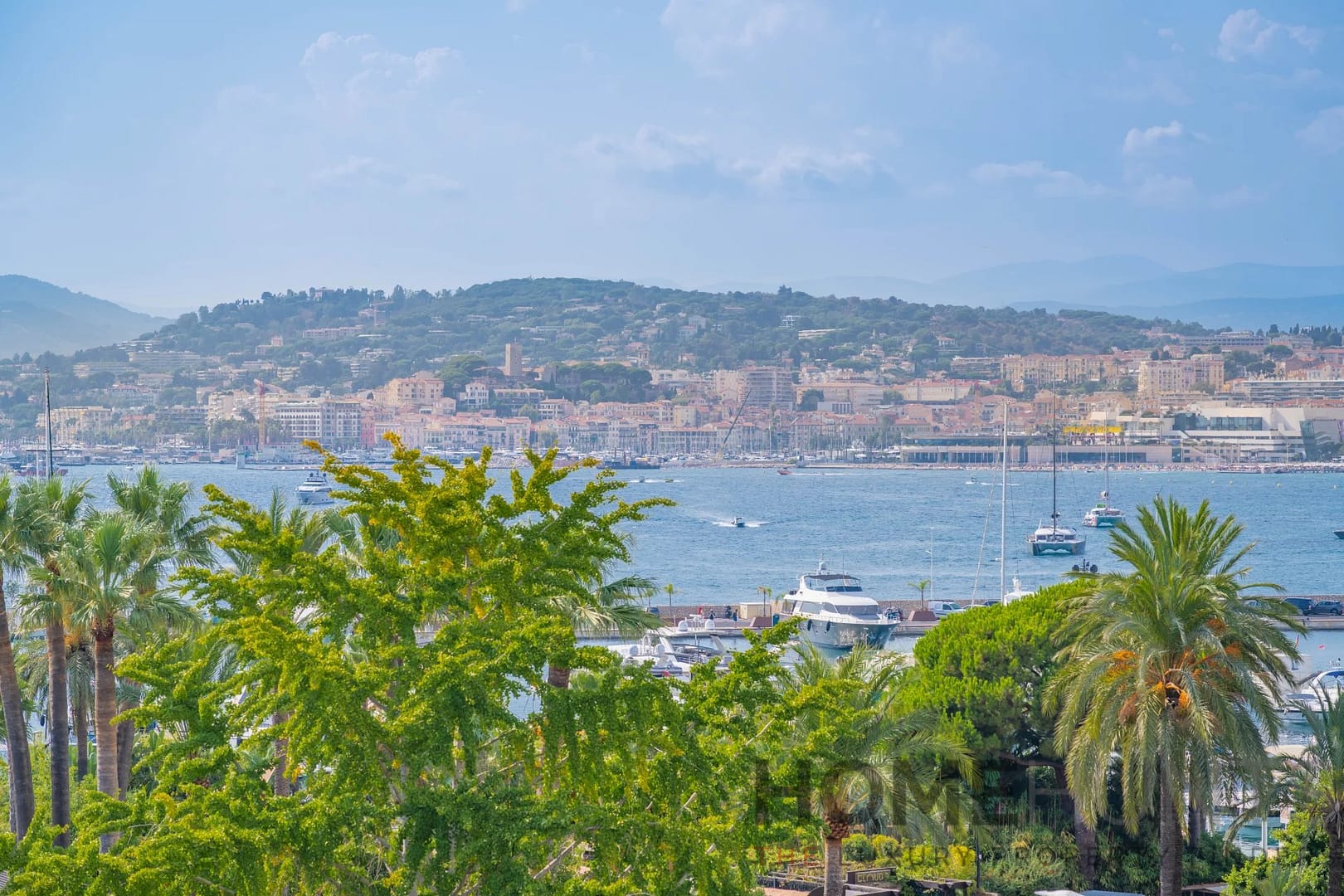 property_HH-15923787-11