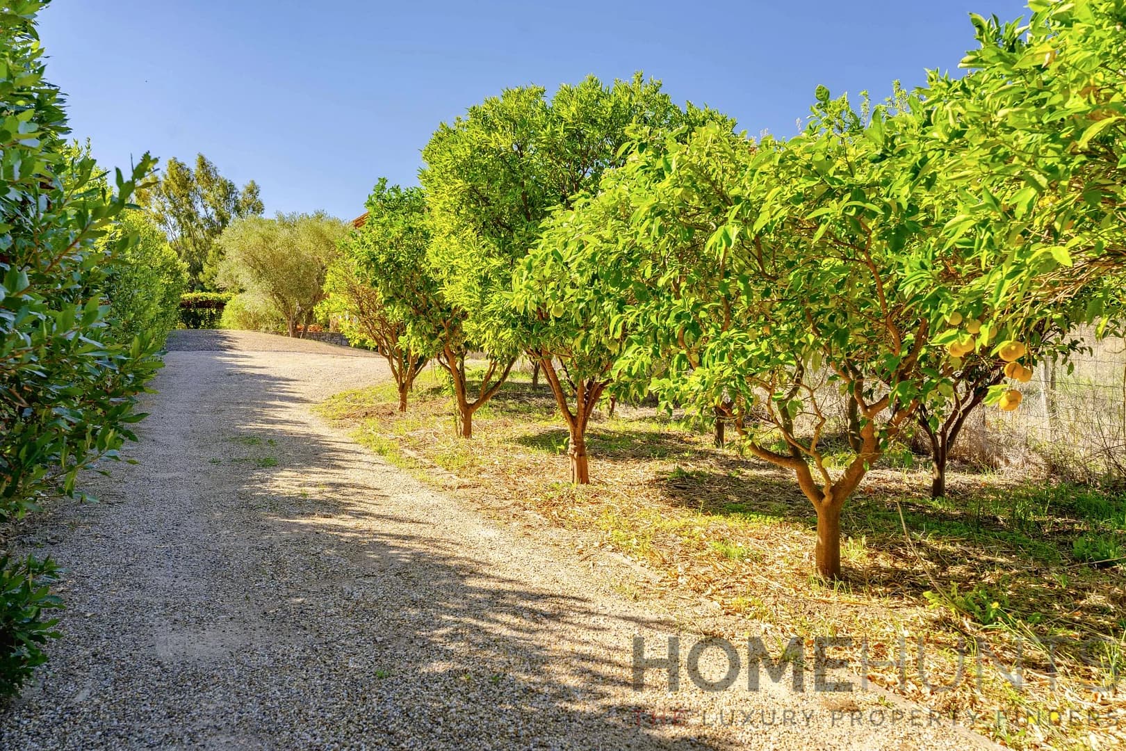 property_HH-15943877-4