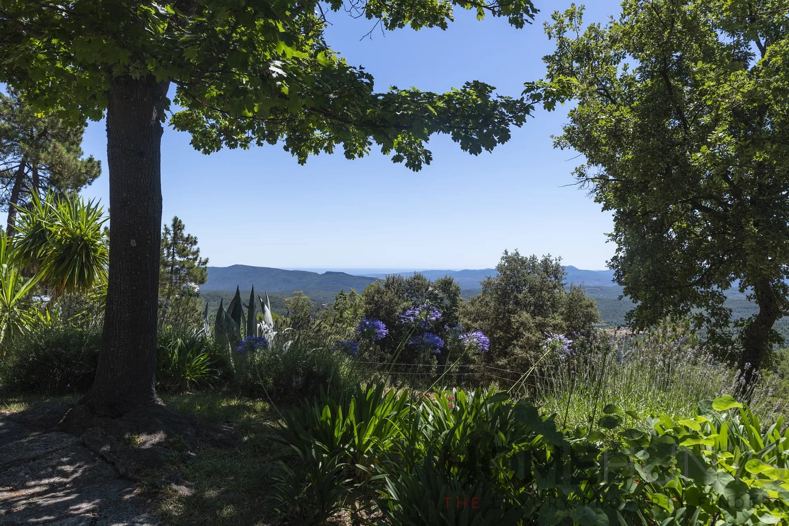 property_HH-15950969-24