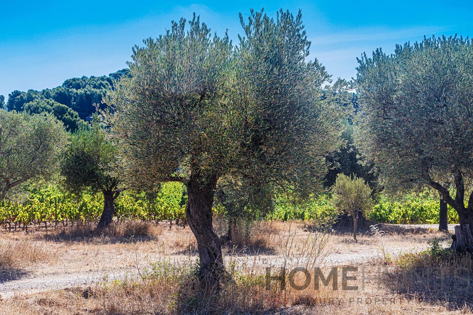 property_HH-15604248-15