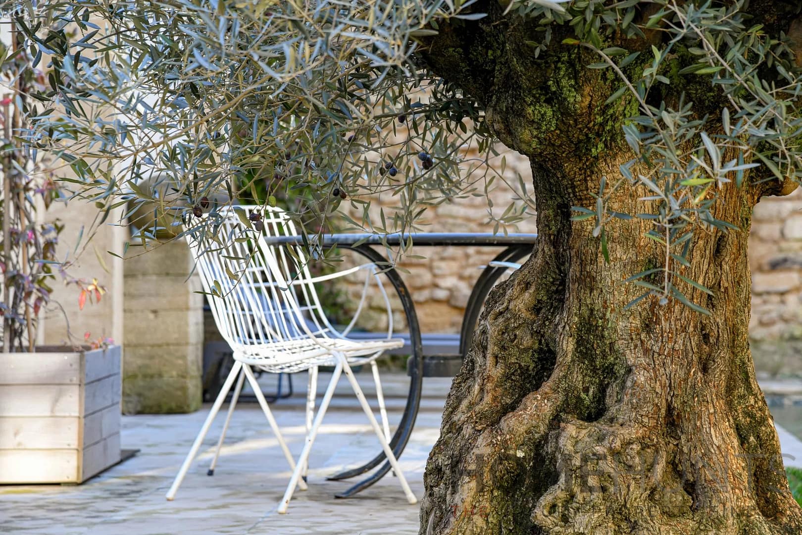 property_HH-16016333-20