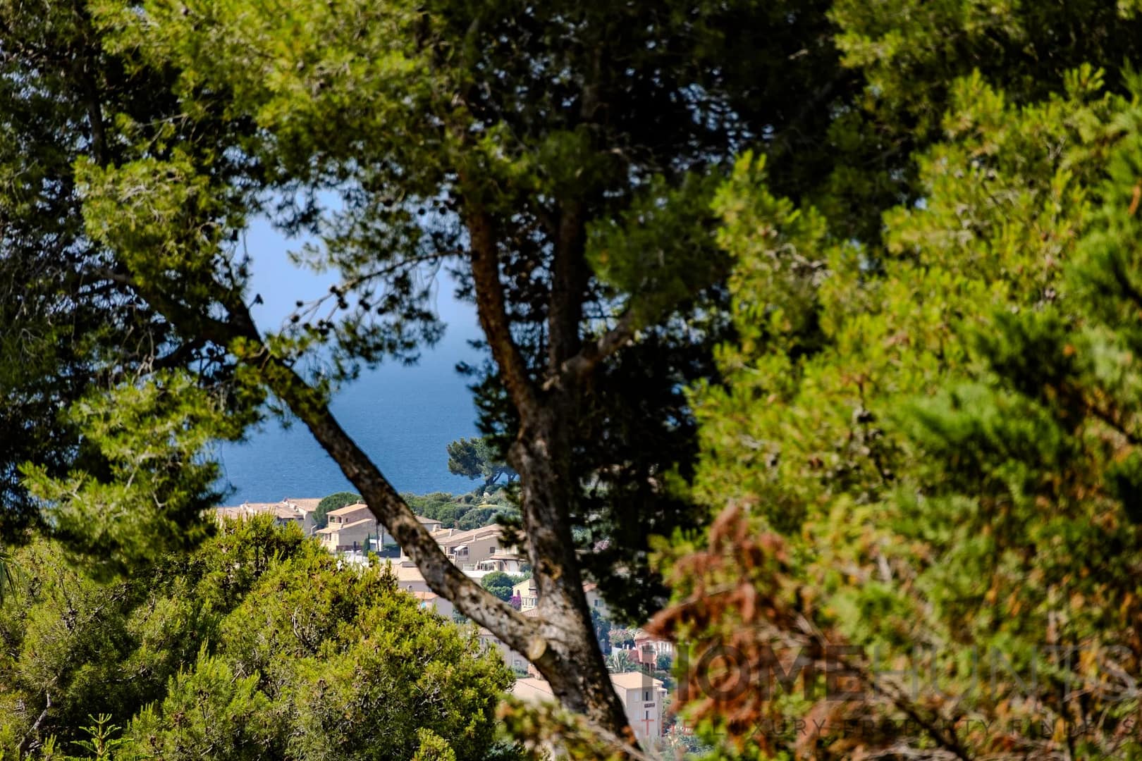 property_HH-16021783-15