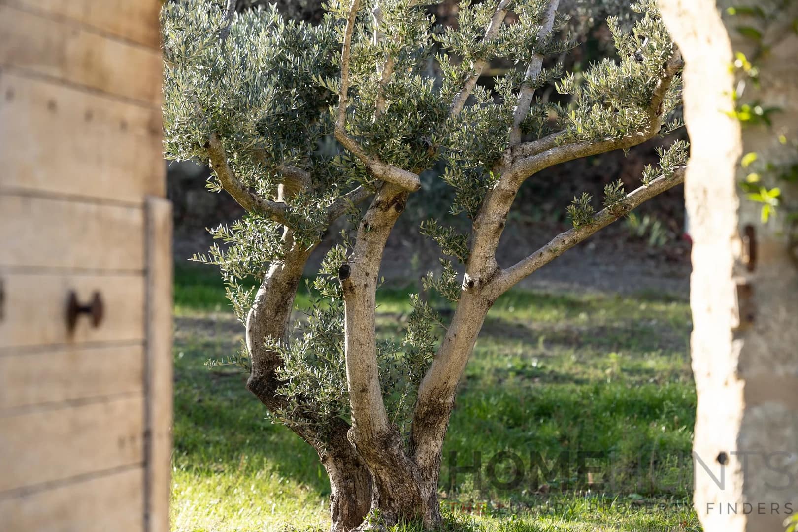 property_HH-16024132-15