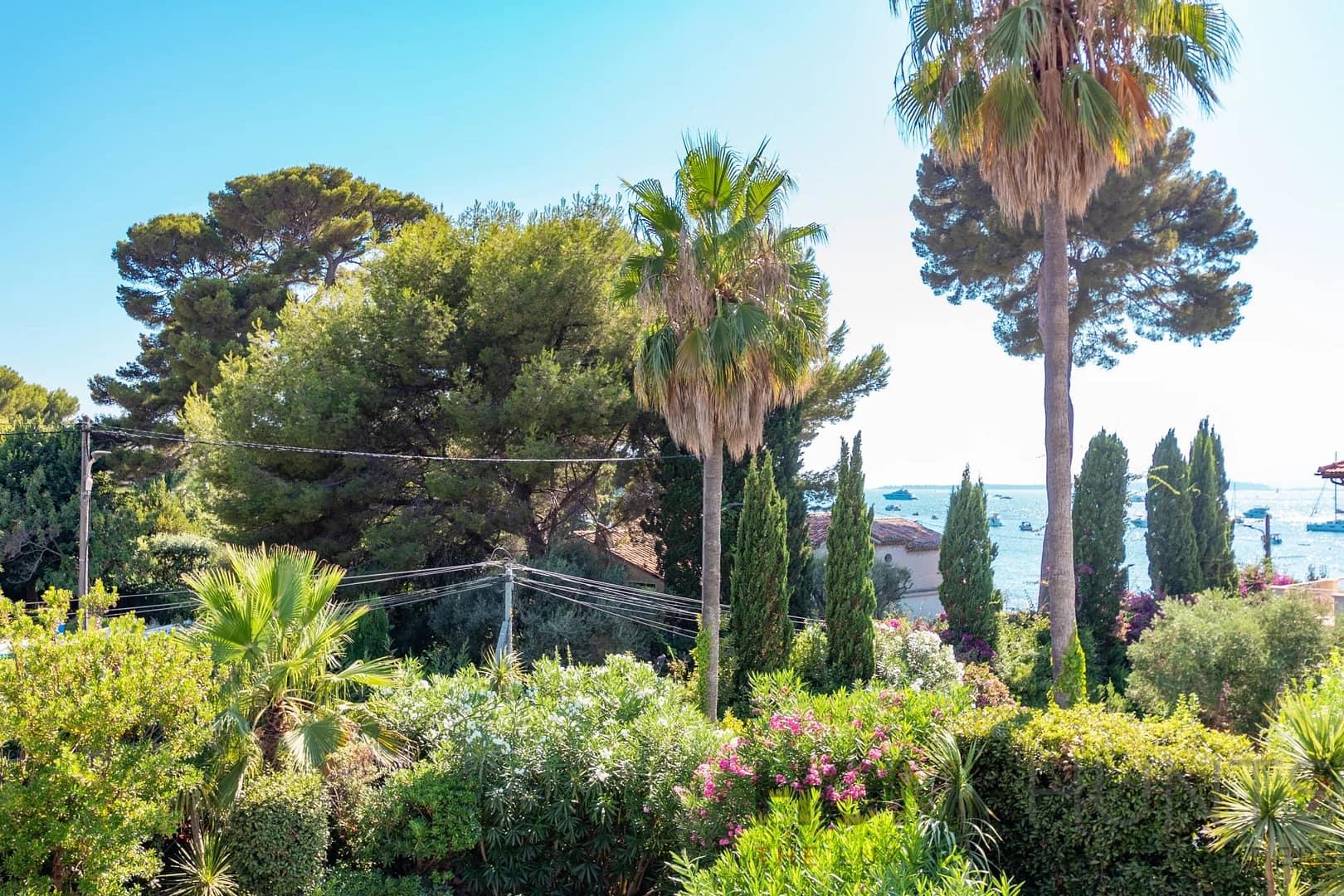 property_HH-15549571-6