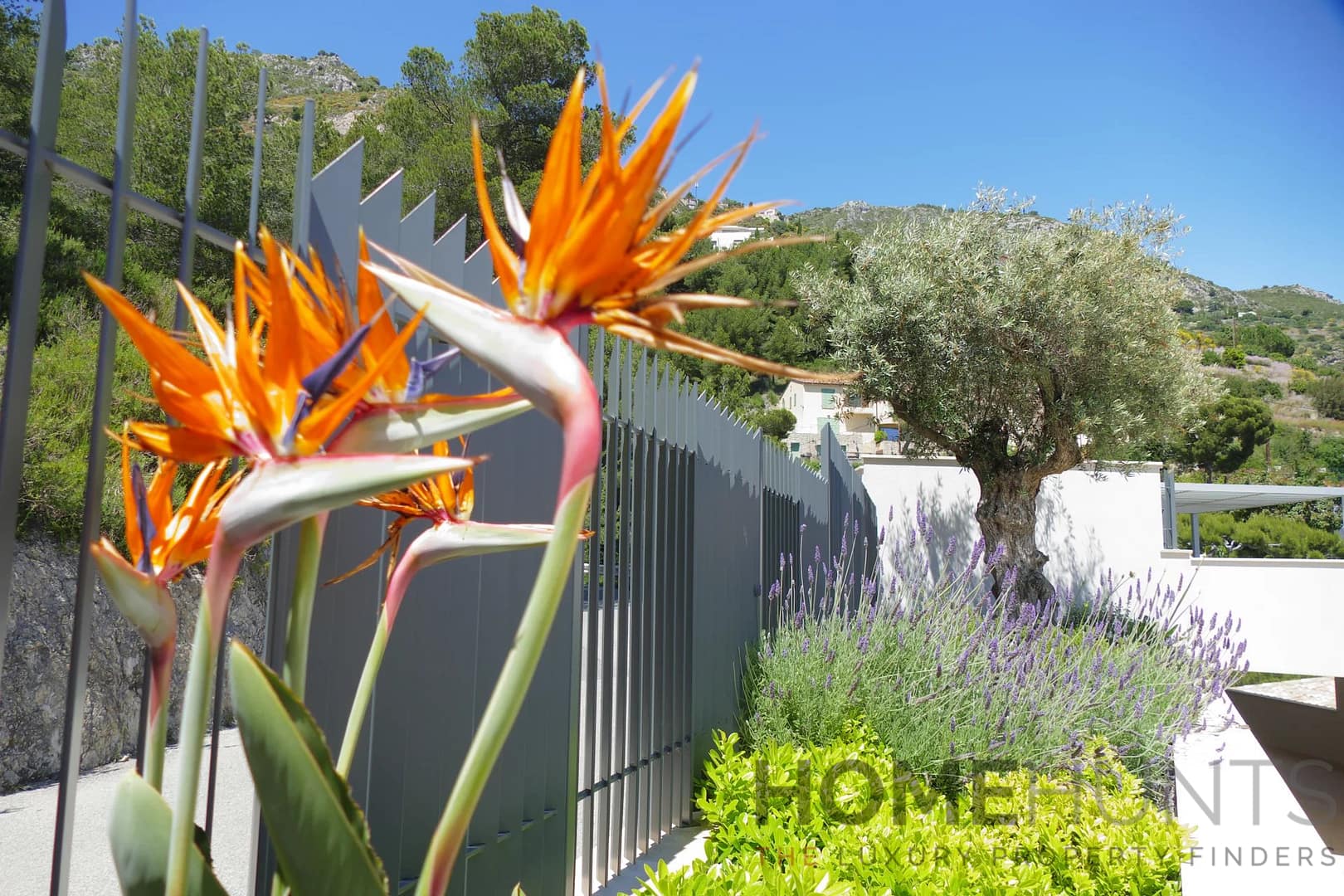 property_HH-15674014-11