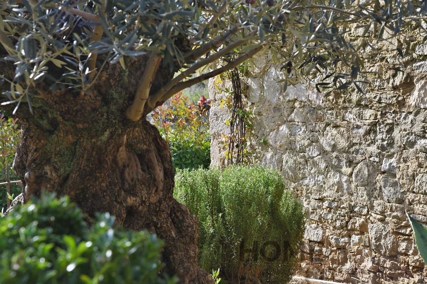 property_HH-16044055-7