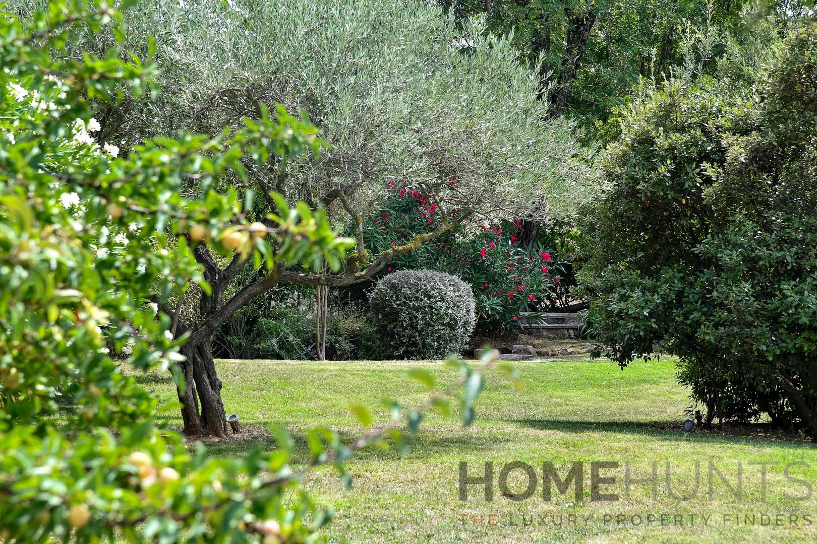 property_HH-16044056-25