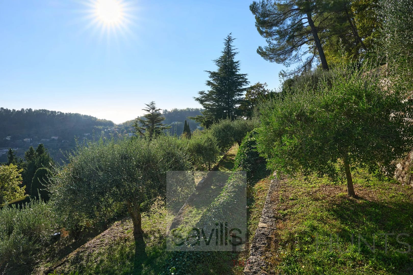 property_HH-16045436-12